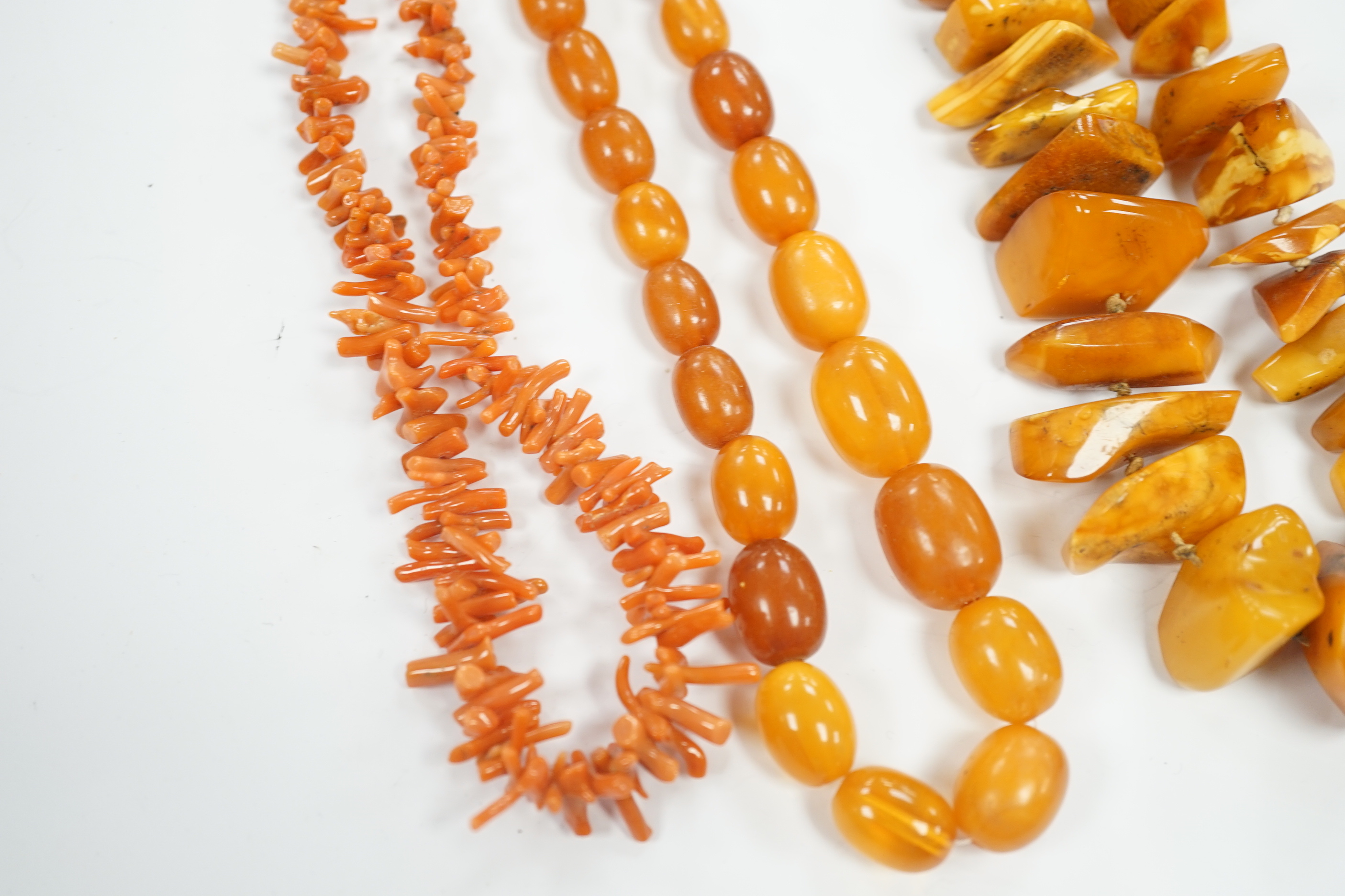 A single strand graduated amber bead necklace, 56cm, gross weight 34 grams, one other amber necklace and a coral necklace.